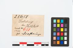 Etikett zu Bronzespiralarming (NHMW-PRAE-025658)